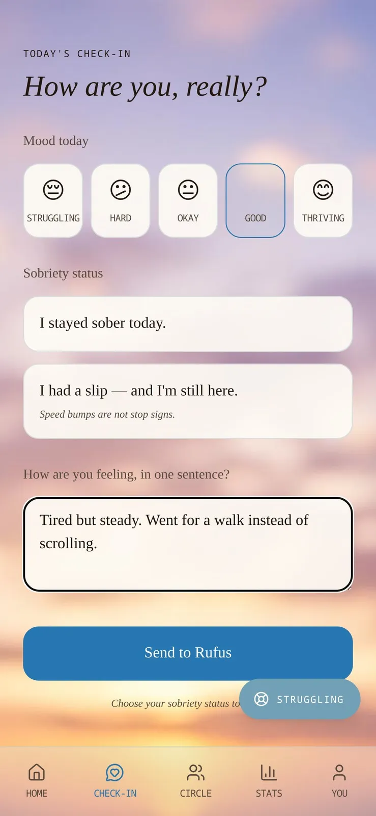 R.U.F.U.S. daily check-in screen with mood picker and free-text field
