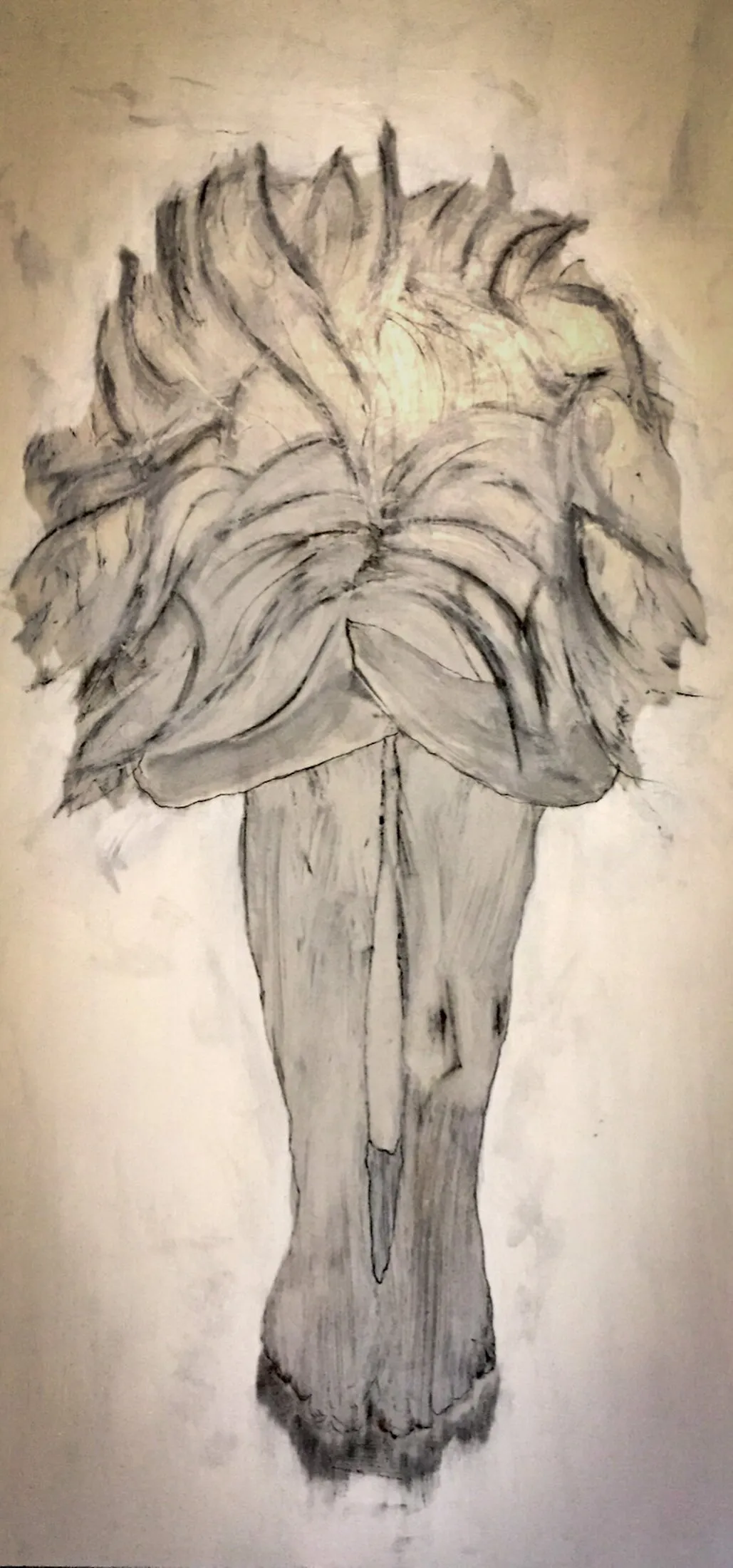 Charcoal drawing on a cream background of a large, flowing mane- or feather-like form made of fanned strokes at the top, tapering down into a narrow vertical trunk-like form toward the bottom of the canvas.