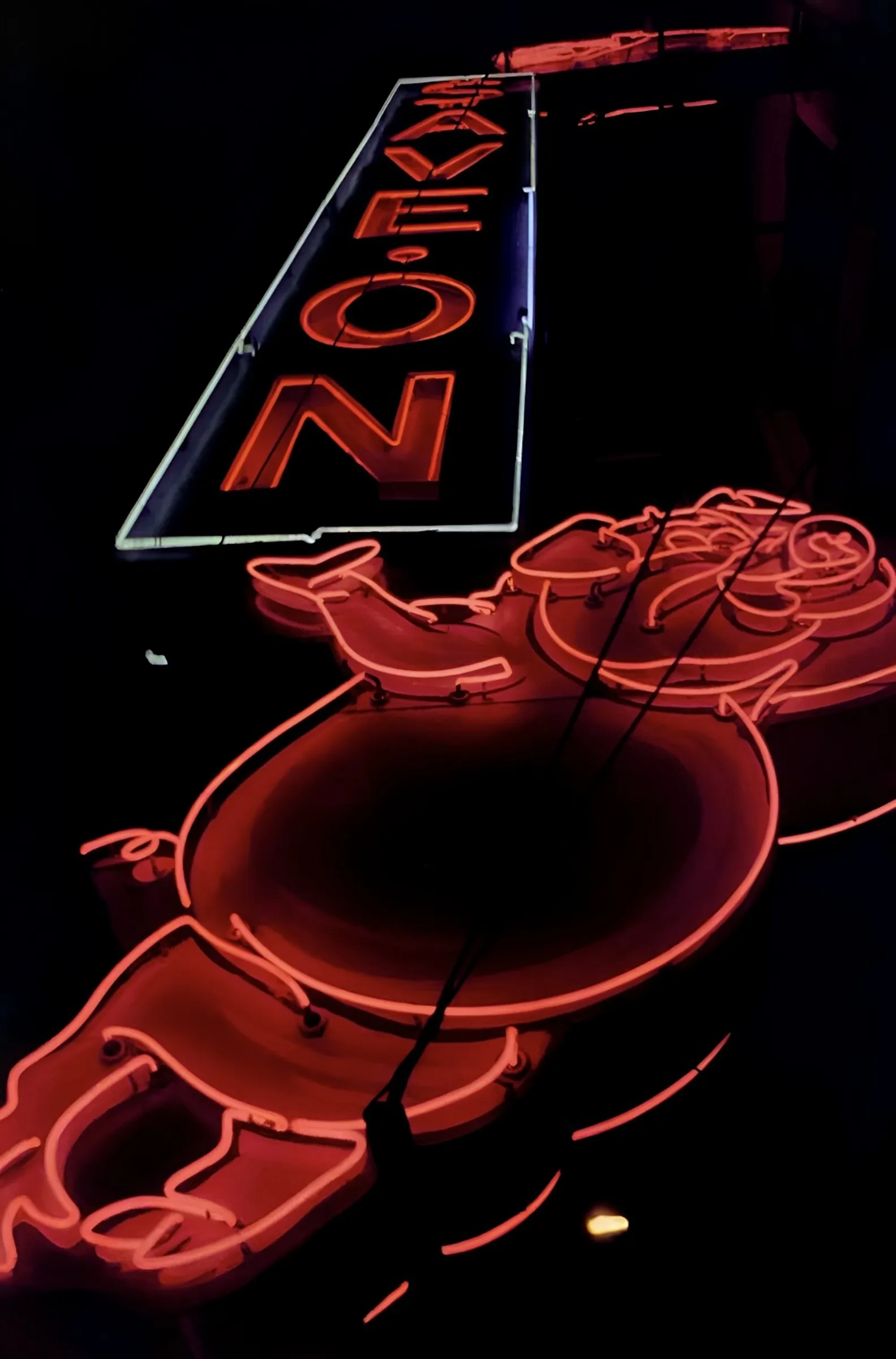 Color night photograph of a vintage neon sign, partially lit letters reading "-AVE-ON" above a large red neon pig-shaped sign.