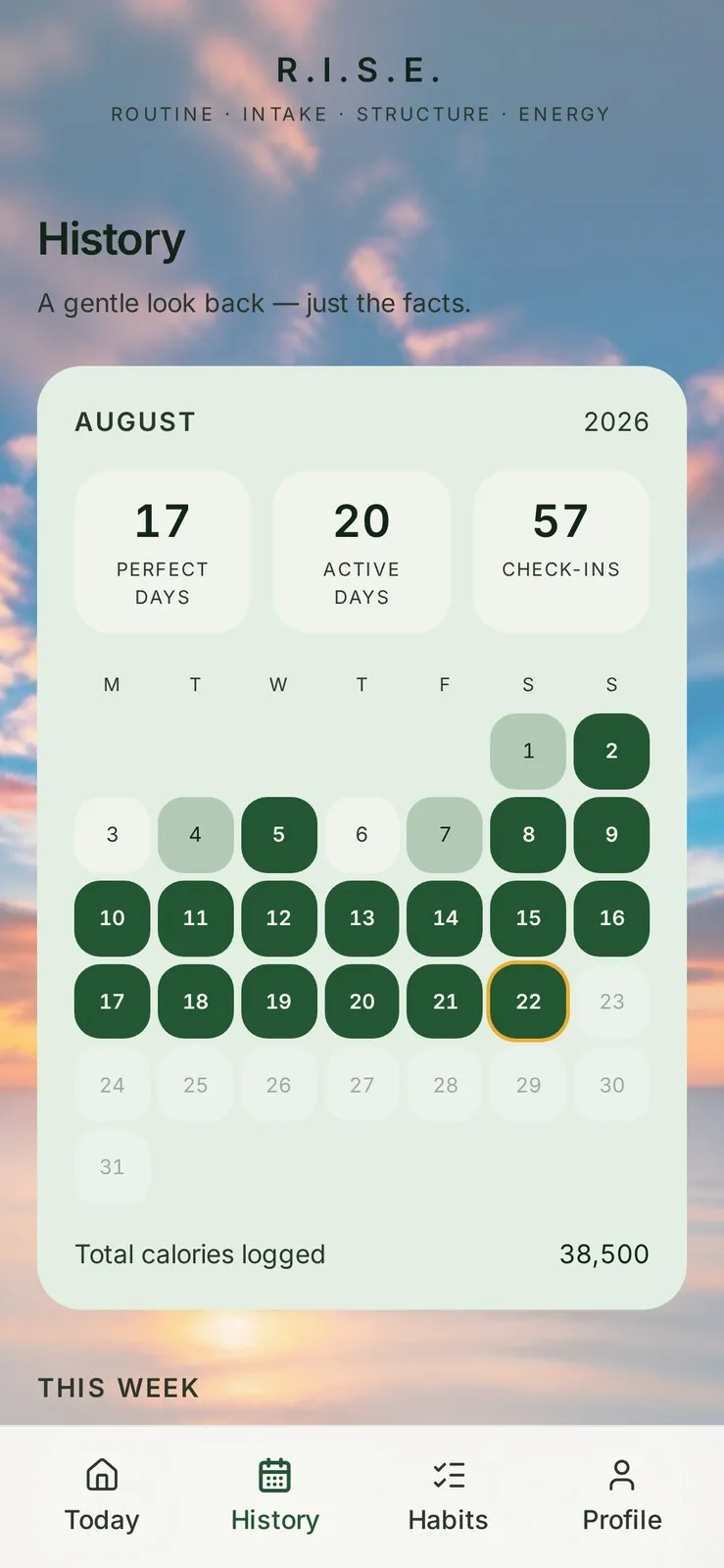 R.I.S.E. history calendar with Perfect Days, Active Days and check-ins