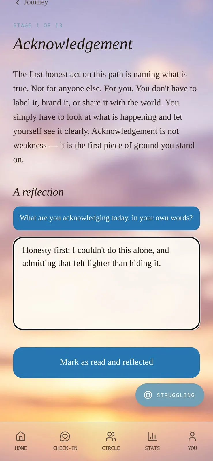 An Honest Stage reflection screen in R.U.F.U.S. with a filled-in entry