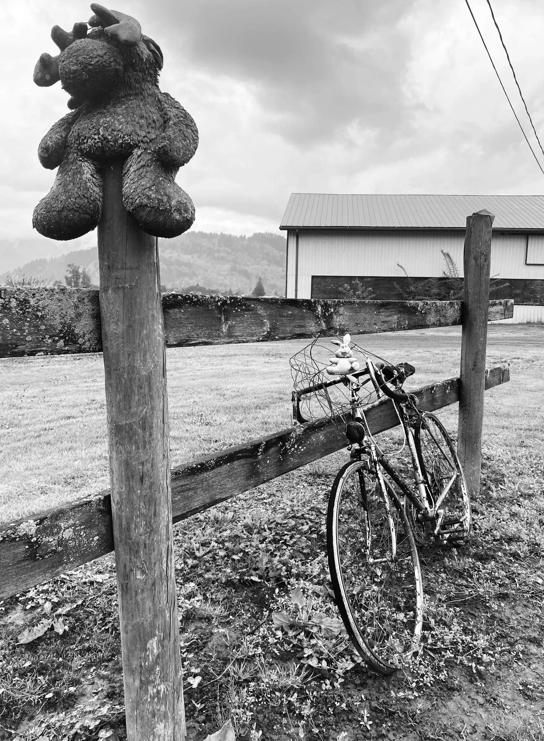 Black-and-white photograph of a weathered stuffed animal mounted on top of a wooden fence post, with a bicycle leaning against the fence rail and a barn in the background under a cloudy sky.
