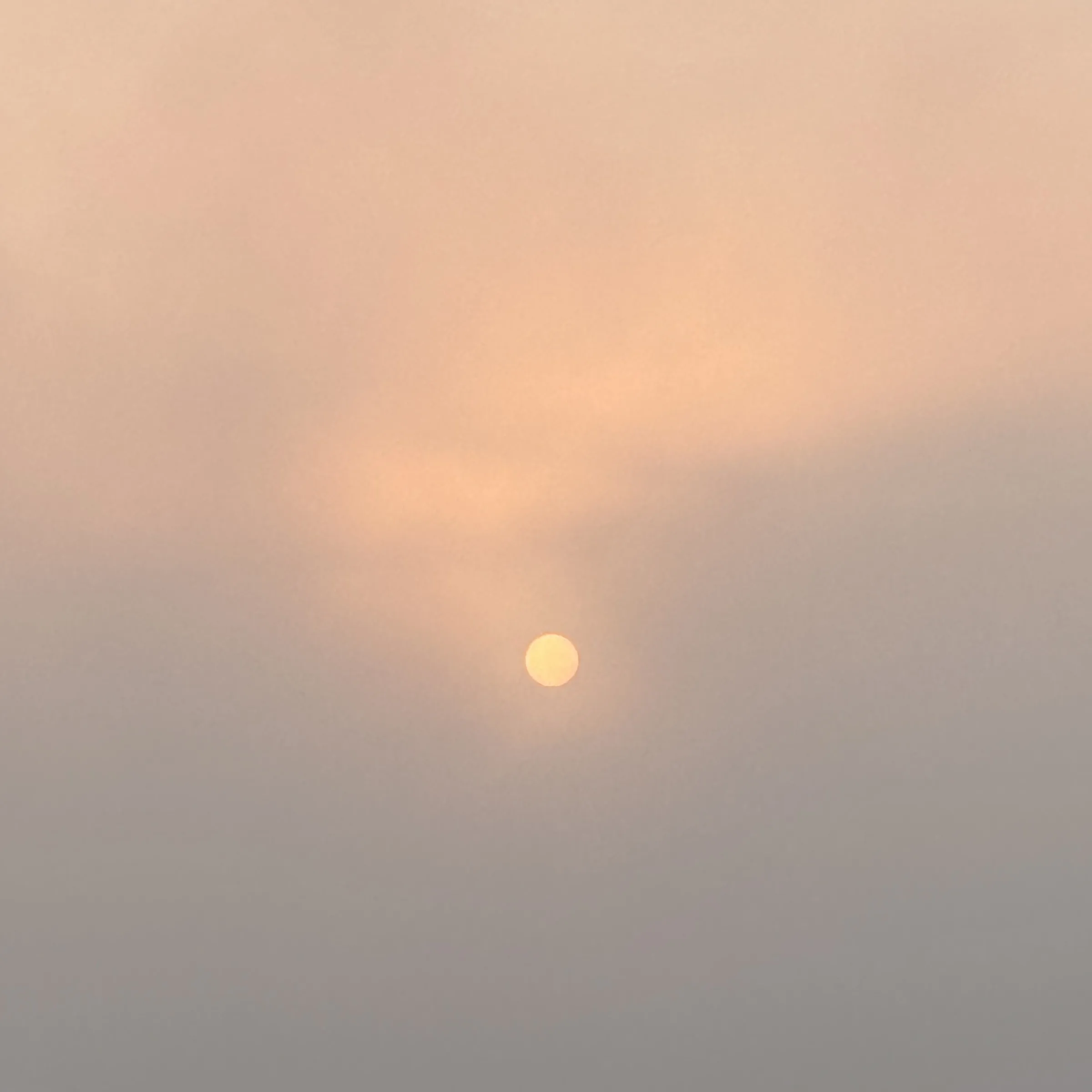 Color photograph of a soft golden sun diffused through pale pink and gray fog.
