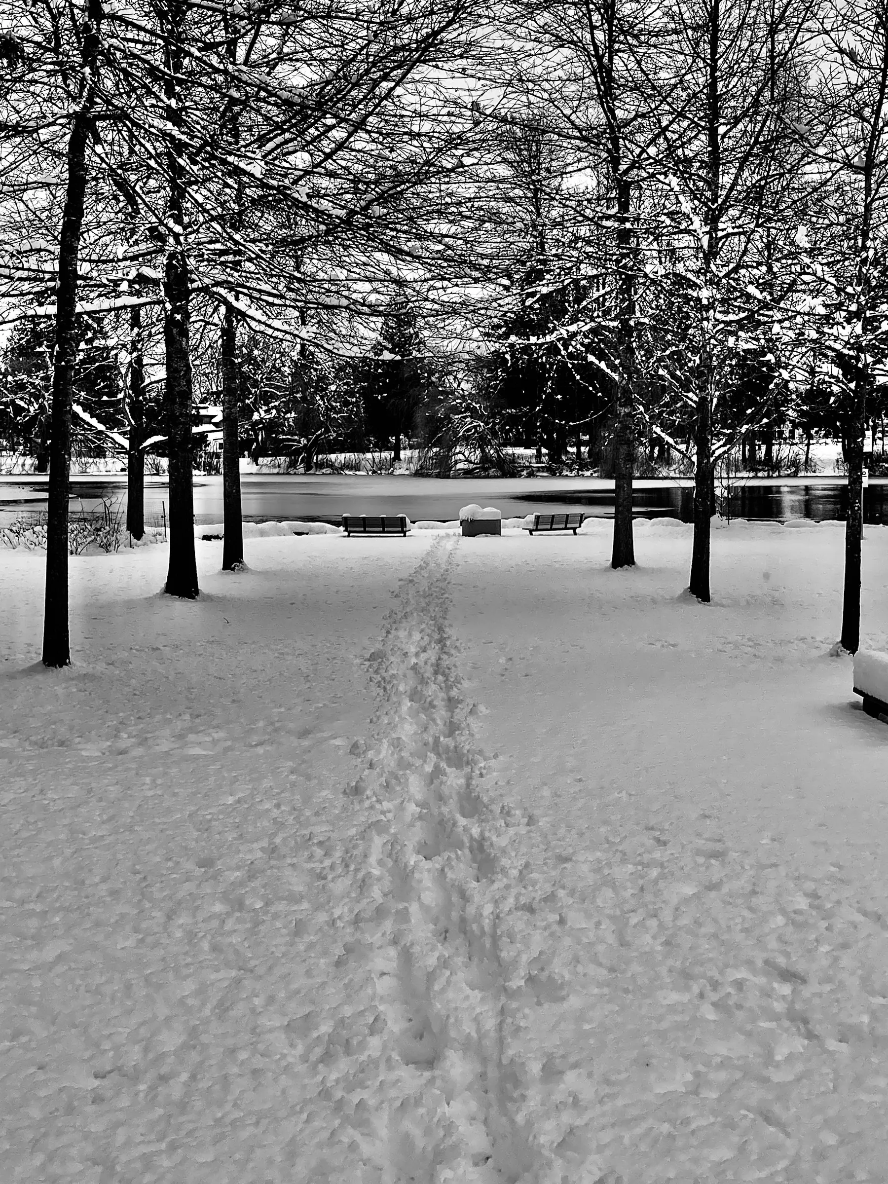 Black-and-white photograph of a snow-covered park at dusk with bare, snow-dusted trees, empty benches, and a single set of footprints in the snow leading toward a frozen pond.