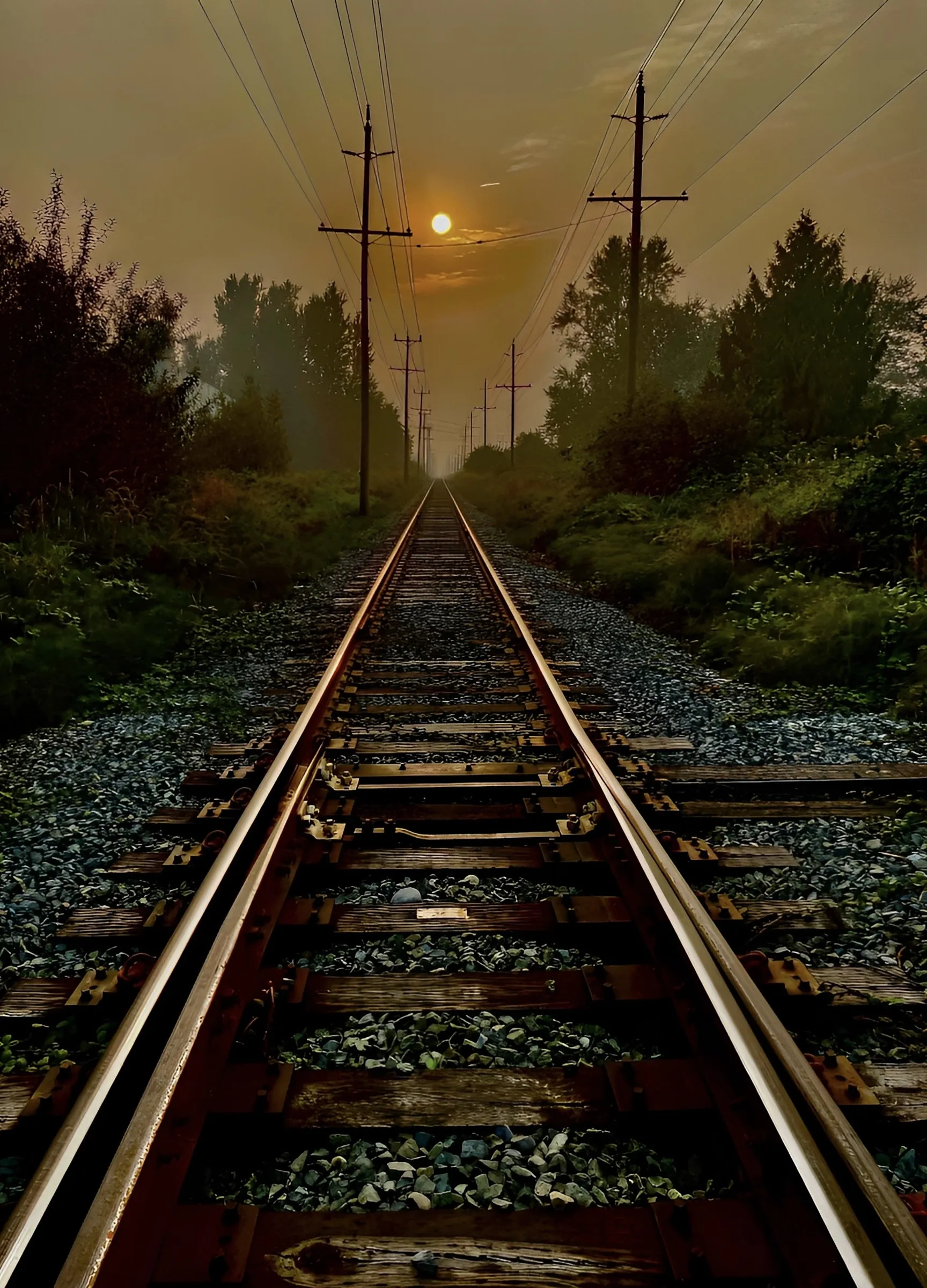 Color photograph of railway tracks converging toward the horizon at sunset, framed by trees and utility poles, with the sun glowing low above the tracks.