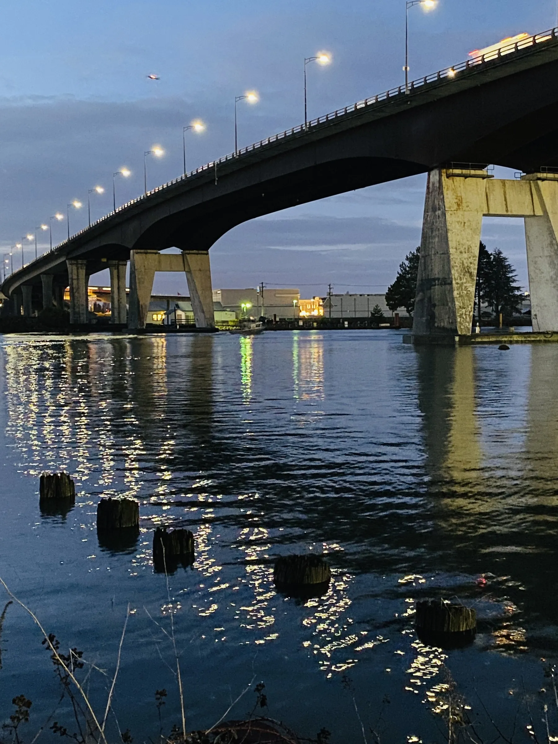 A curved elevated concrete highway bridge lit by a row of street lamps, crossing a calm river at dusk. Two large concrete bridge piers rise from the water, with their reflections and the lights' reflections rippling on the surface. Several dark wooden pilings emerge from the water in the foreground, with bare branches at the lower edge of the frame.