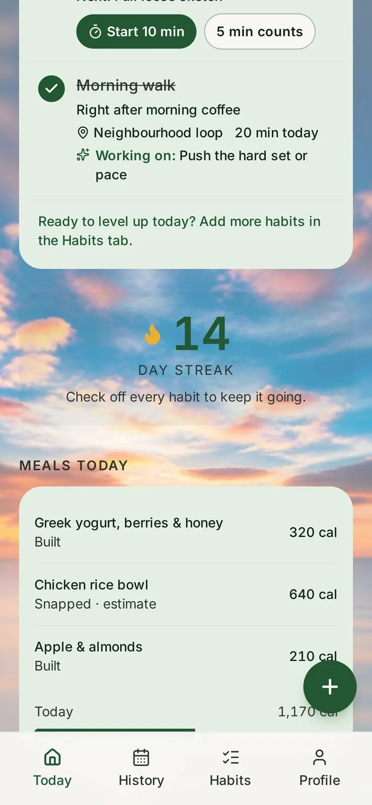 R.I.S.E. streak and meals-today view